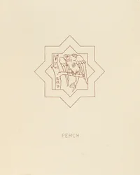 Perch